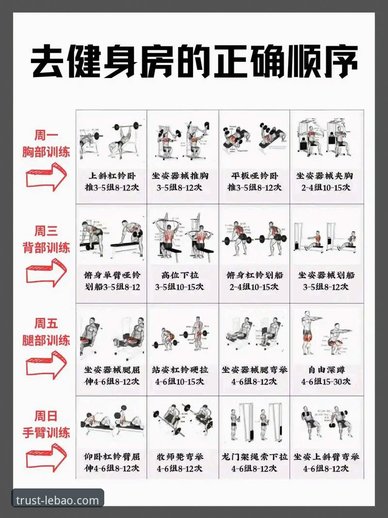 乐宝健身装备 乐宝体育平台健身装备选购与使用完整指南